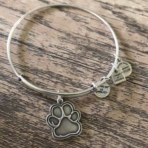 Alex and Ani silver bracelet